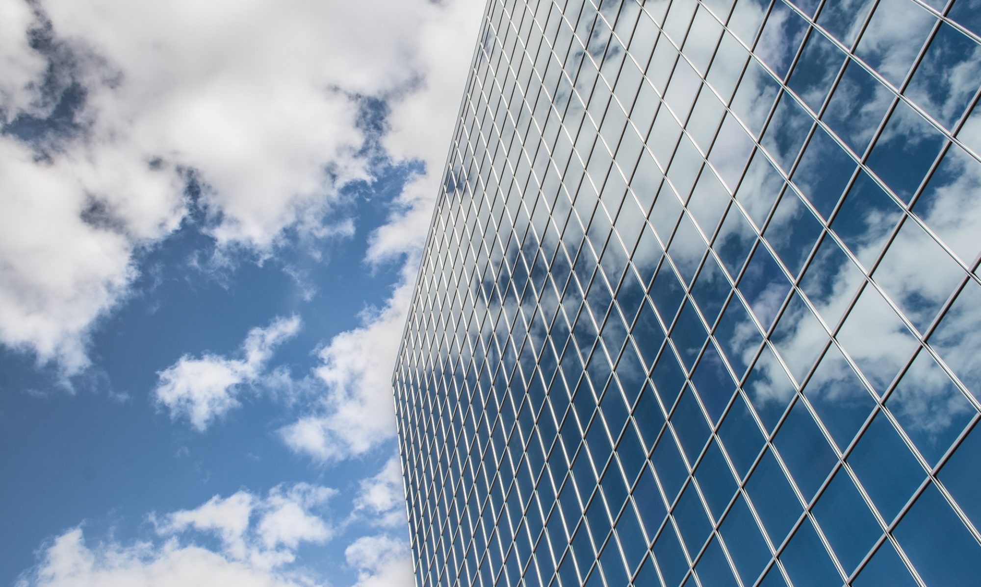 Adam H Douglas Freelance Writer